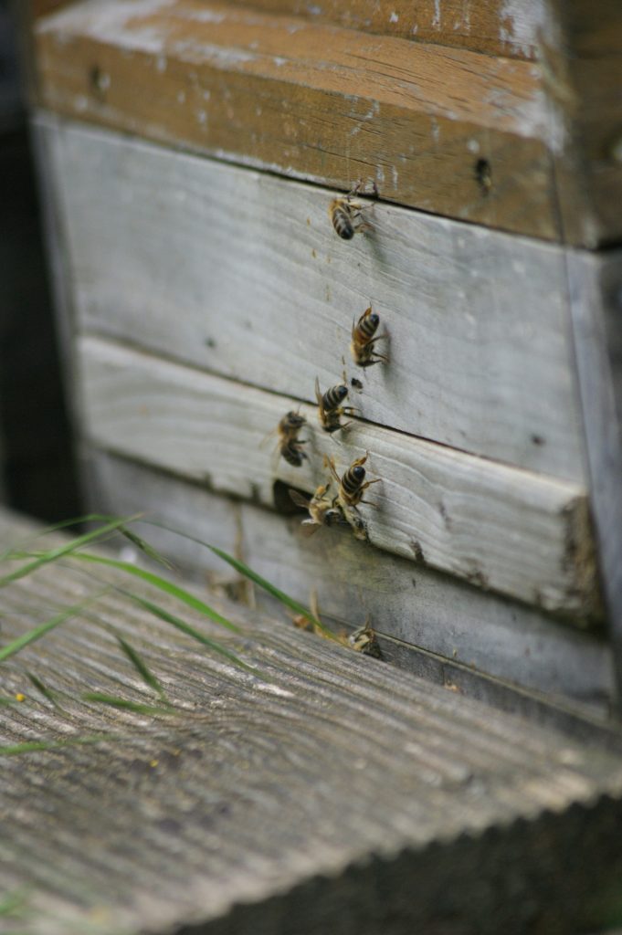 Hello World Featured Image